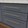 480 mm Contemporary Bar Pulls-Royal Brass Finish